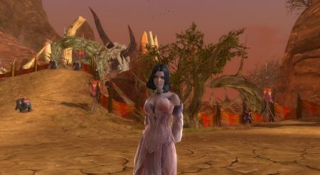 En Profundidad - Aion Tower of Eternity imagen 3
