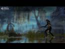 Guild Wars 2