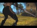 Guild Wars 2