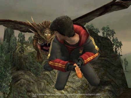 HARRY POTTER Y EL CALIZ DE FUEGO PS2 harry potter y el caliz de fuego ps2: