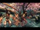 Galer�a de Shadow Warrior