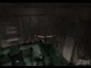Galer�a de Tomb Raider Anniversary