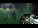 Turok