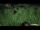 Turok